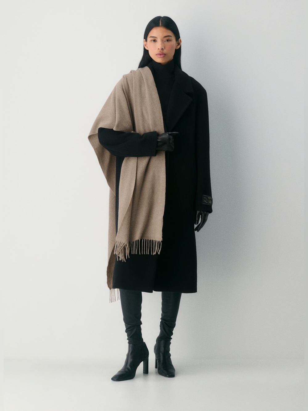 Aritzia Essential Cashmere Noble Scarf